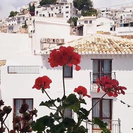 Boutique Casa Del Mar Альтеа